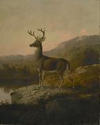 unknow artist Deer painting